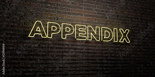 APPENDIX -Realistic Neon Sign on Brick Wall background - 3D rendered royalty free stock image. Can be used for online banner ads and direct mailers.. photo
