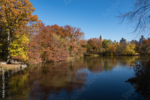 Autumn Colors in Central Park, New York City
