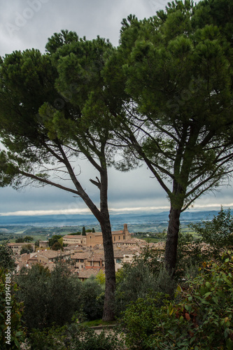 view of san gimignano © alfenny