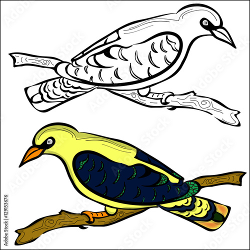 outline and painted oriole