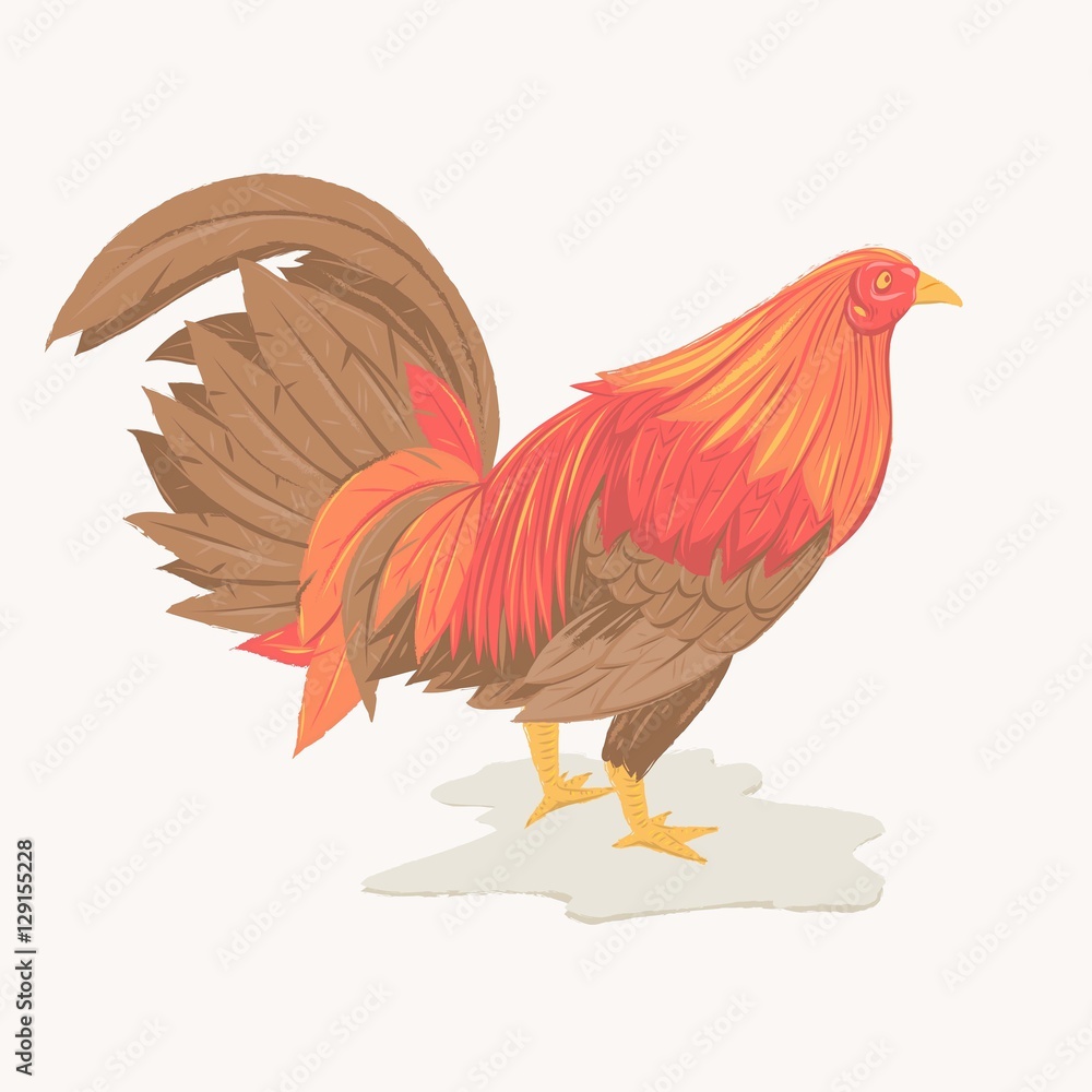 Rooster illustration. Element for New Year's design.