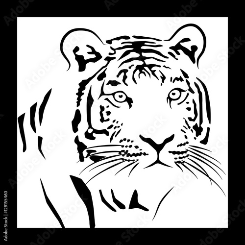 Fototapeta Naklejka Na Ścianę i Meble -  muzzle of a tiger on a white background in a frame