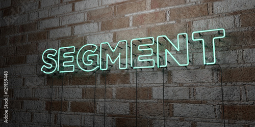 SEGMENT - Glowing Neon Sign on stonework wall - 3D rendered royalty free stock illustration. Can be used for online banner ads and direct mailers..