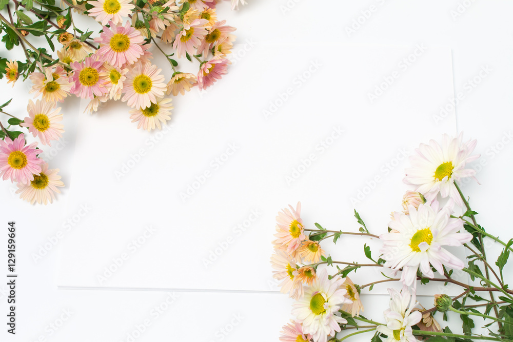 branches delicate chrysanthemum on white background branches delicate chrysanthemum on white background