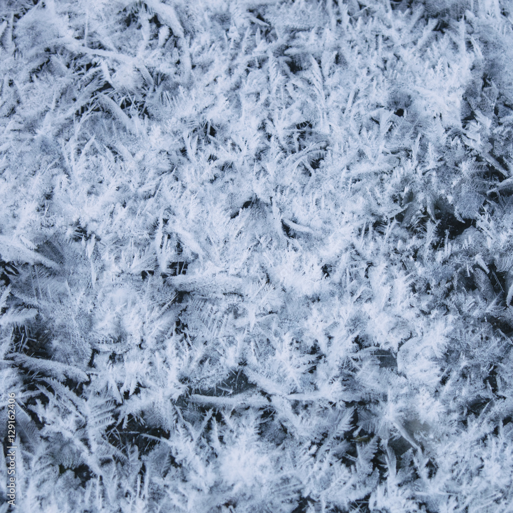 frost patterns on ice frost patterns on ice