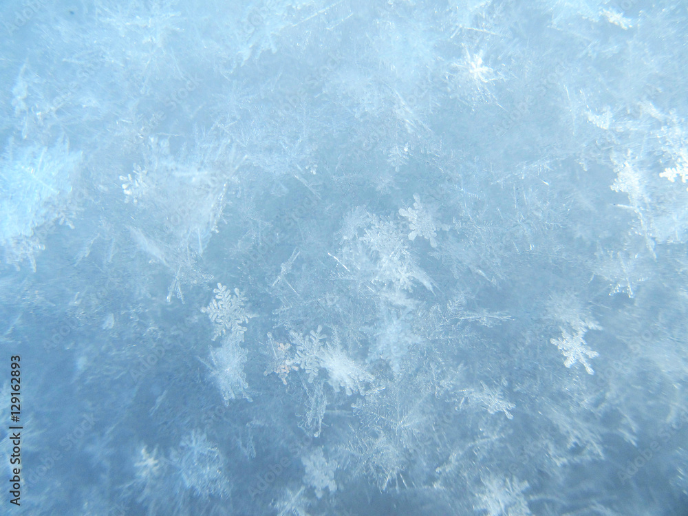 Fototapeta premium Close image of snow, a lot of real snowflakes