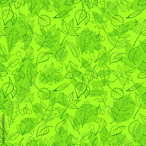 Seamless Background  Green Summer Leaves Contours and Silhouettes Oak  Iberian Oak  Raspberry  Willow  Liquidambar  Hawthorn  Aspen  Ginkgo Biloba  Elm Karagach  Birch  Ash  Chestnut  Sambucus. Vector