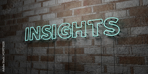 INSIGHTS - Glowing Neon Sign on stonework wall - 3D rendered royalty free stock illustration. Can be used for online banner ads and direct mailers..