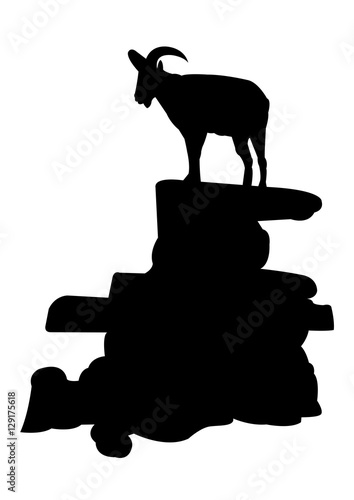 Chamois on the Rock Silhouette on White Background
