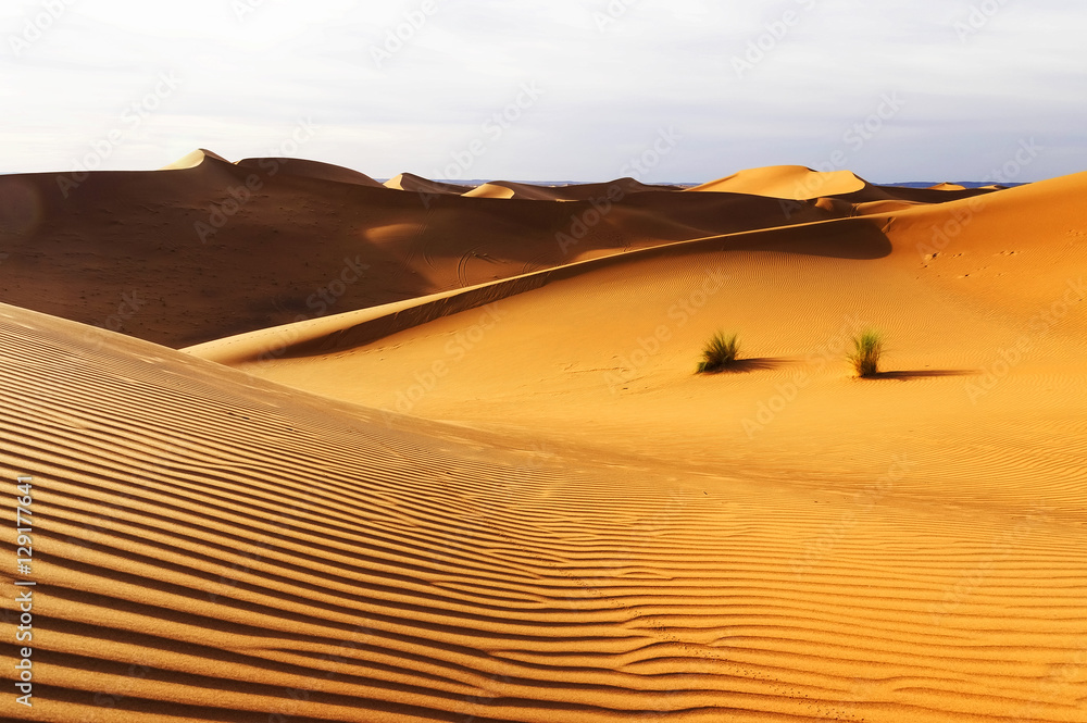 Abstract sand pattern in Sahara Desert, Africa