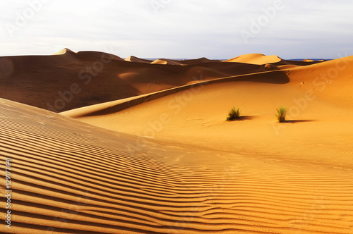 Abstract sand pattern in Sahara Desert, Africa