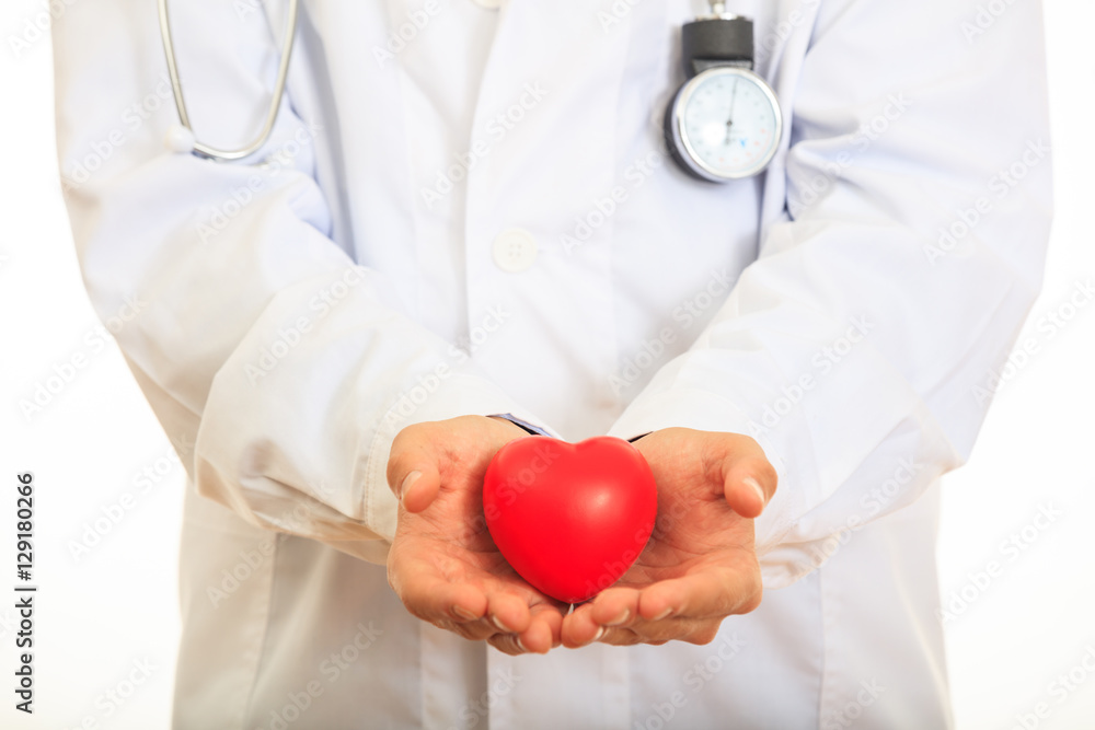 Doctor holding a heart on white background Doctor holding a heart on white background