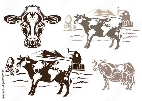Cow set design