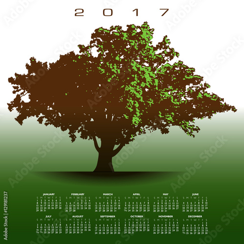 A large glorious old oak tree 2017 calendar in full leafage  