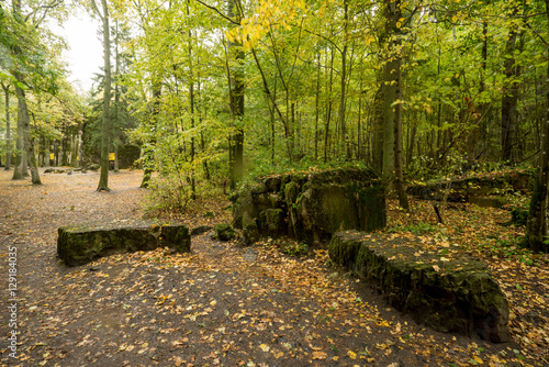 Wolf's Lair,  Adolf Hitler's Bunker in Poland. First Eastern Front military headquarters in World War II. Complex was blown up and abandoned on 1945. Autumn, chaparral grown ruins, trees, leaves.