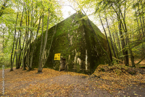 Wolf's Lair Bunker in Poland. photo