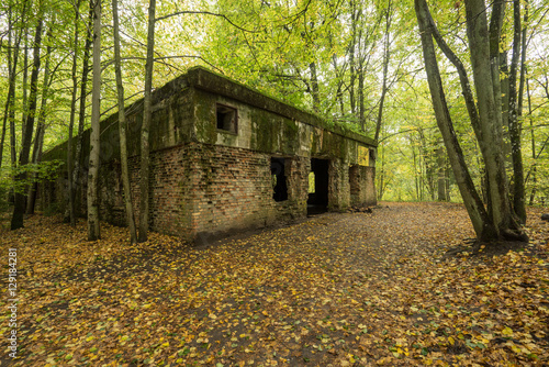 Wolf's Lair Bunker in Poland. photo