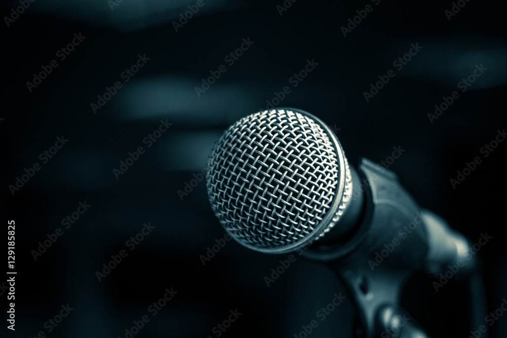 Microphone with metal body in holder Microphone with metal body in holder
