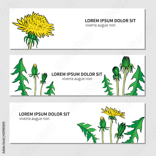 Dandelion flower, bud, leaves hand drawn vector ink color sketch isolated on white,  Round frame, graphic floral decorative wreath for cosmetic, design package tea, holiday, medical organic products