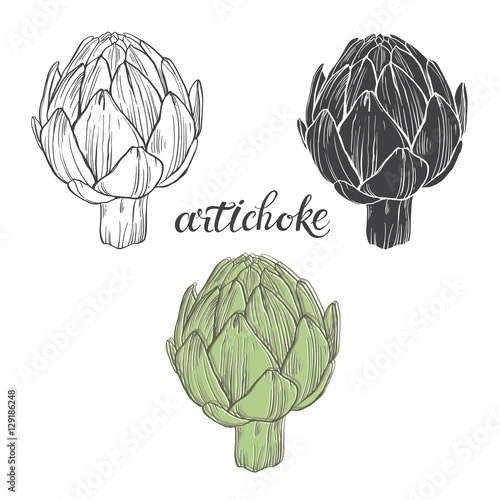 Artichoke. Vector illustration, sketch on a white background. Isolated vector hand-drawn elements for your design.