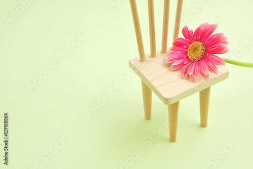 Gerbera and miniature chair