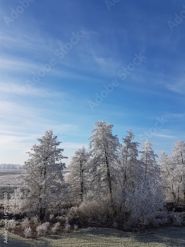 Wallpaper Mural Winterlandschaft Torontodigital.ca