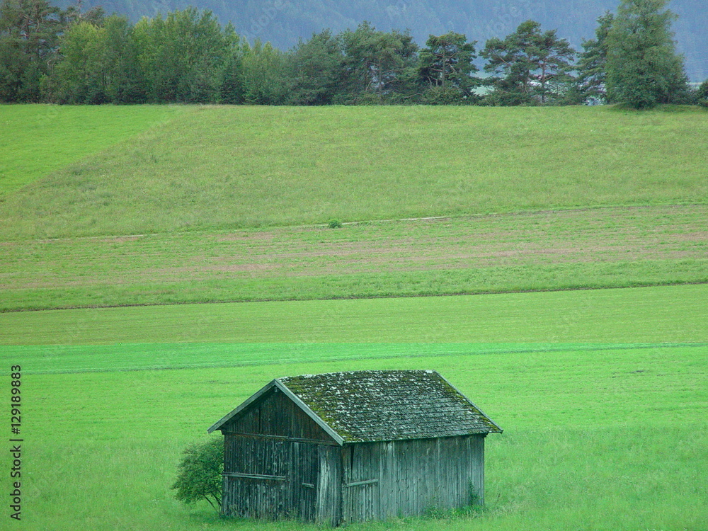 Alte Scheune mit Wiese und Wald Alte Scheune mit Wiese und Wald