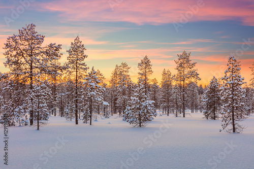 Majestic winter landscape - sundown, forest, trees and snow