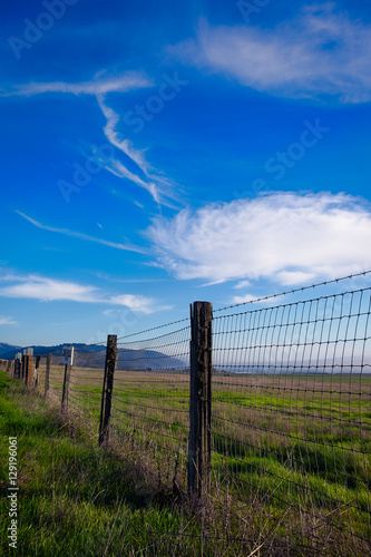 Fences Along Pacific Coast Highway