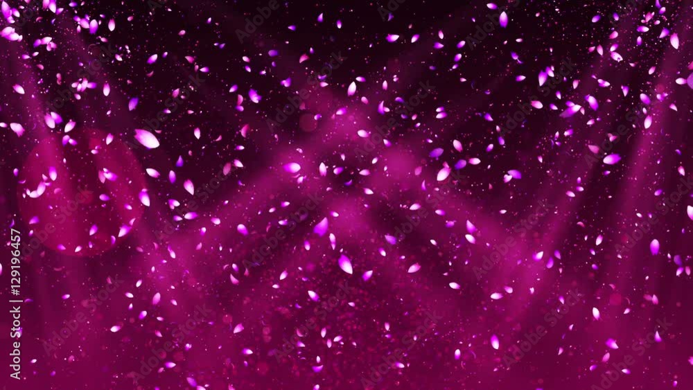左右から桜吹雪と入射光 左右から桜吹雪と入射光