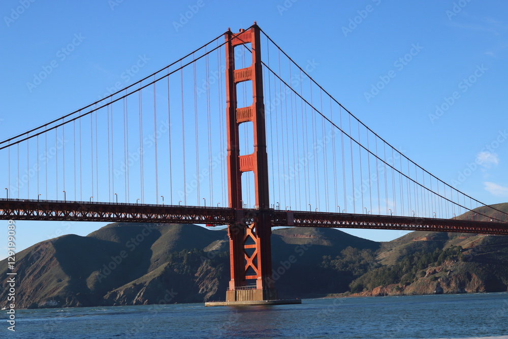 THE bridge THE bridge