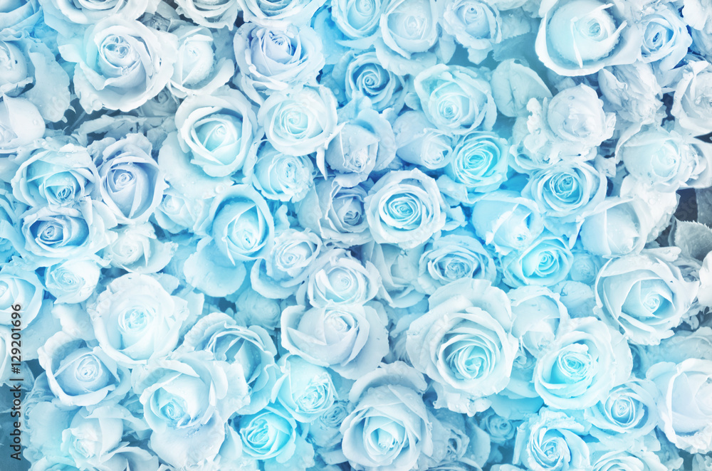 Obraz premium prawdziwy niebieski. niewyraźne słodkich róż w stylu pastelowych kolorów na miękkiej rozmycie tekstury bokeh na tle