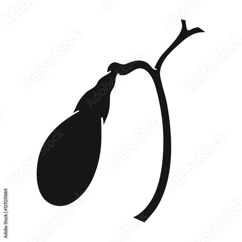 Human gallbladder icon in black style isolated on white background. Human organs symbol stock vector illustration.