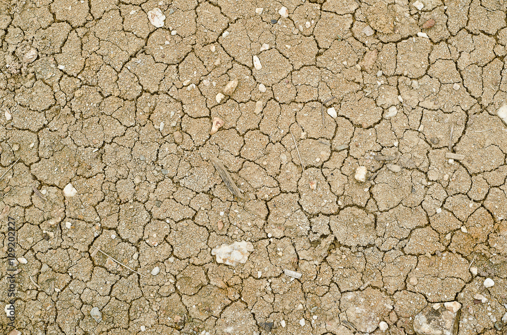 dry and cracked ground.Cracked texture.Dryness dry and cracked ground.Cracked texture.Dryness