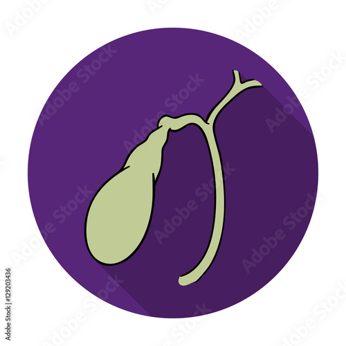 Human gallbladder icon in flat style isolated on white background. Human organs symbol stock vector illustration.