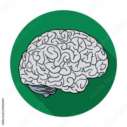 Human brain icon in flat style isolated on white background. Human organs symbol stock vector illustration.