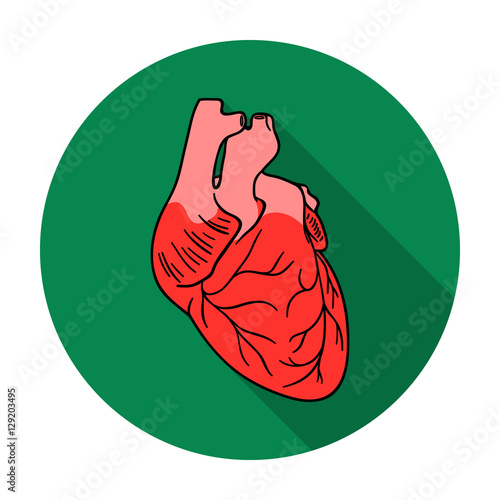 Human heart icon in flat style isolated on white background. Human organs symbol stock vector illustration.