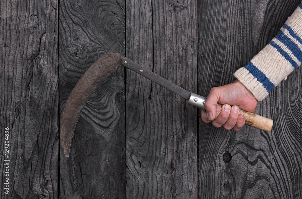 Fototapeta premium sickle hand