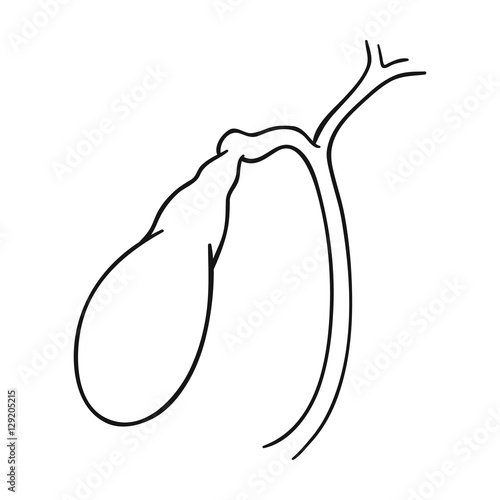 Human gallbladder icon in outline style isolated on white background. Human organs symbol stock vector illustration.