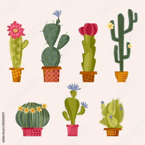 Set of various blooming cacti.