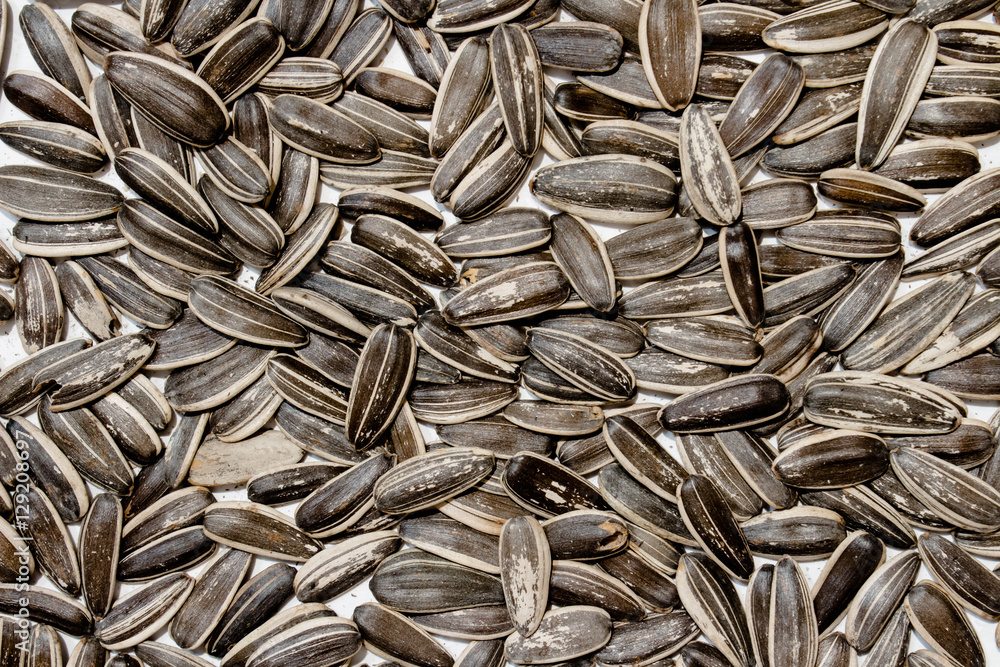 Sunflower seeds macro.