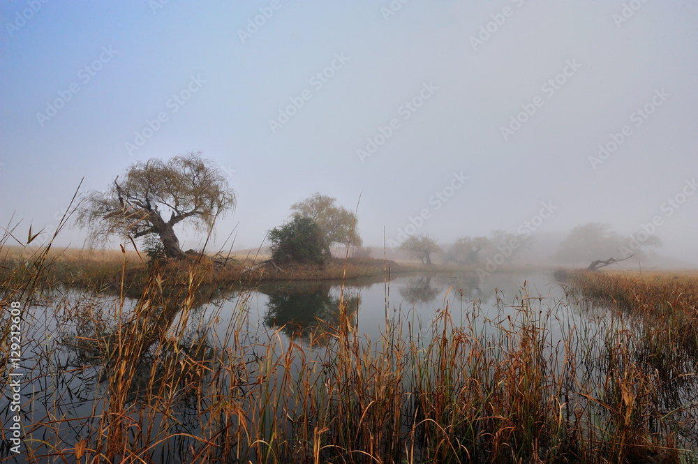 Misty morning along the river Misty morning along the river