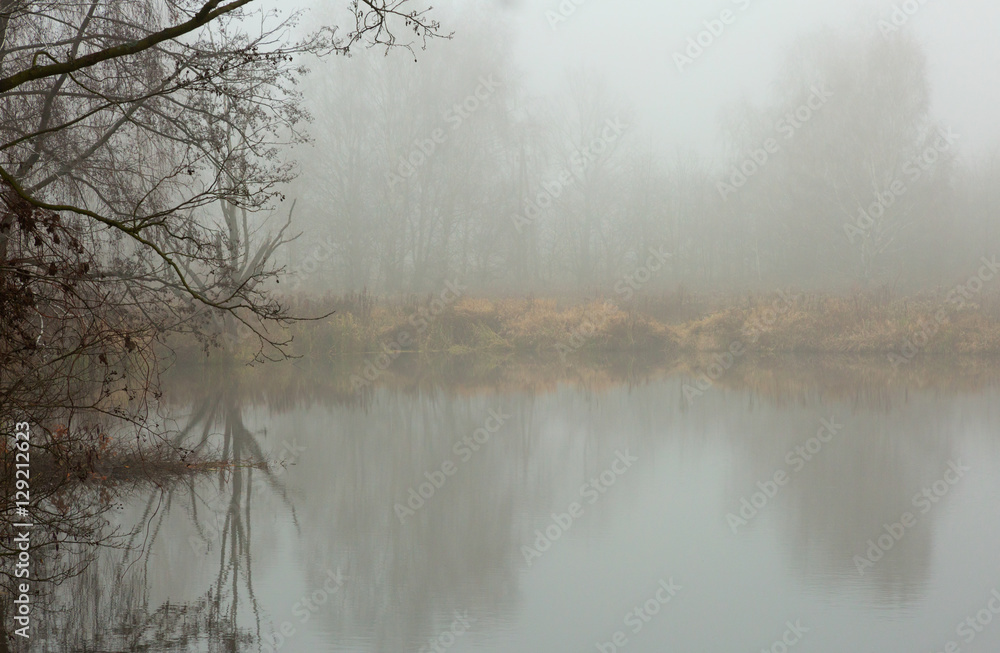 Foggy autumnal morning at the pond