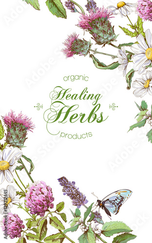 Vector herbal banner