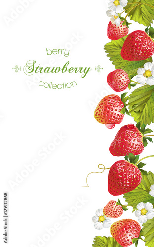 Strawberry vertical banner