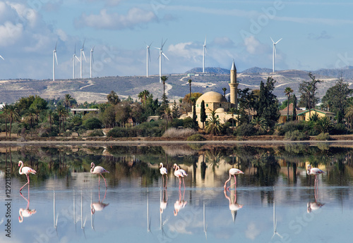 Hala Sultan Tekke in Cyprus