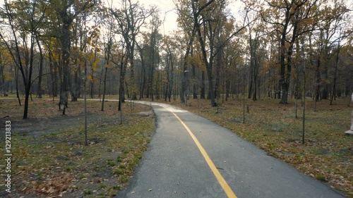 Wallpaper Mural Walking on park alley in autumn sunny day Torontodigital.ca