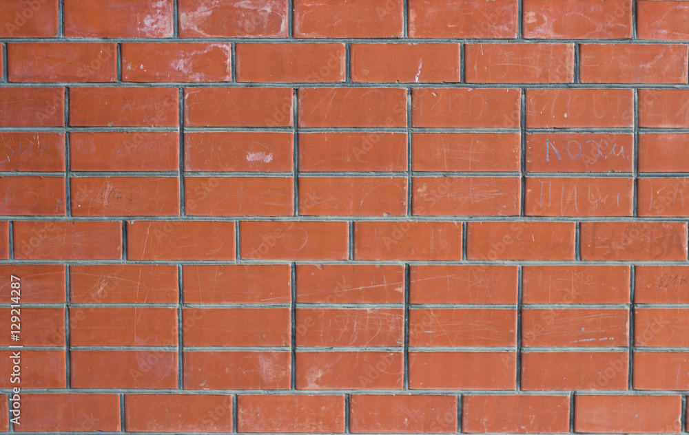Obraz premium Brick wall