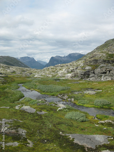 Bachlauf in der Natur Norwegen umgeben von Bergen