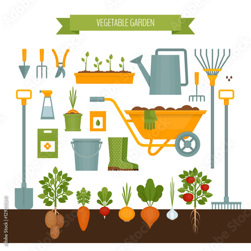Vegetable garden. Garden tools. Flat style, vector illustration.